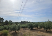 Chalet independiente con terreno en venta en Riudecanyes ref: TR263298 foto