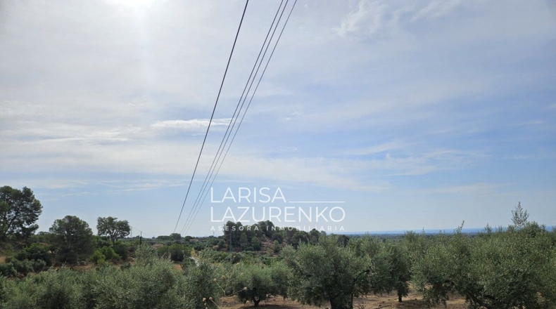 Tarragona - Riudecanyes - 40000m2