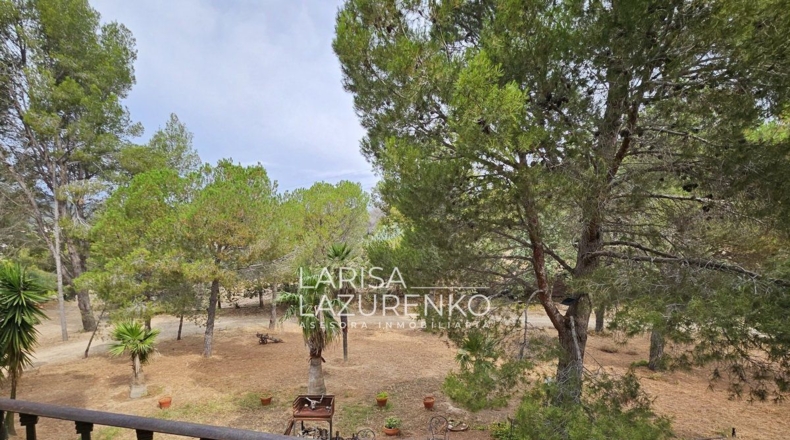 Tarragona - Riudecanyes - 40000m2
