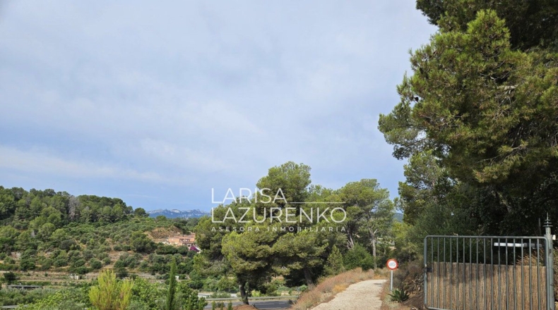 Tarragona - Riudecanyes - 40000m2