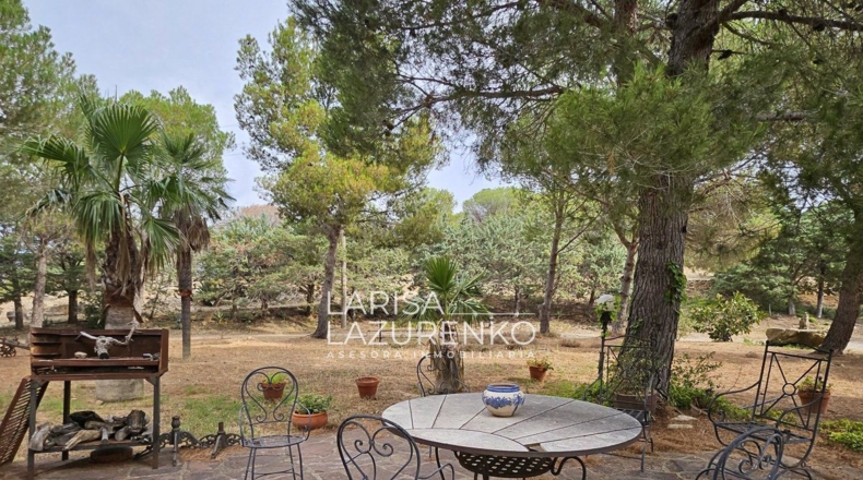 Tarragona - Riudecanyes - 40000m2