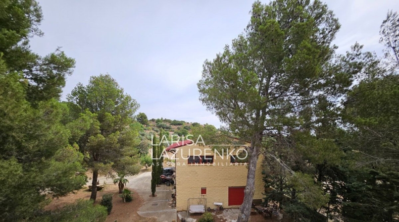 Tarragona - Riudecanyes - 40000m2