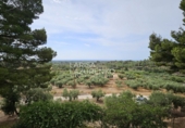 Chalet independiente con terreno en venta en Riudecanyes ref: TR263298 foto