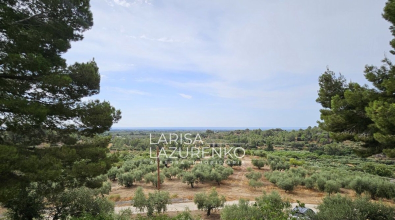 Tarragona - Riudecanyes - 40000m2