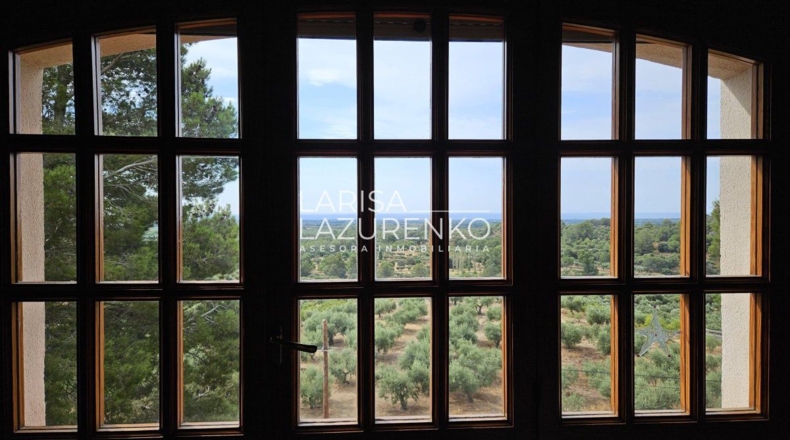 Tarragona - Riudecanyes - 40000m2