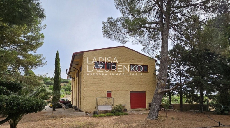 Tarragona - Riudecanyes - 40000m2