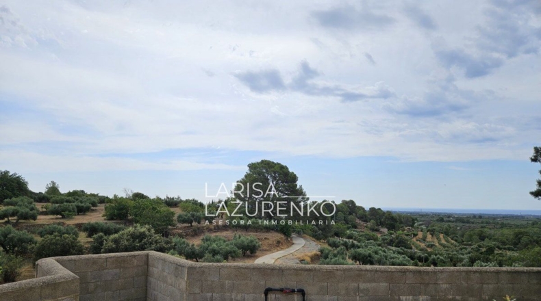 Tarragona - Riudecanyes - 40000m2