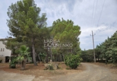 Chalet independiente con terreno en venta en Riudecanyes ref: TR263298 foto
