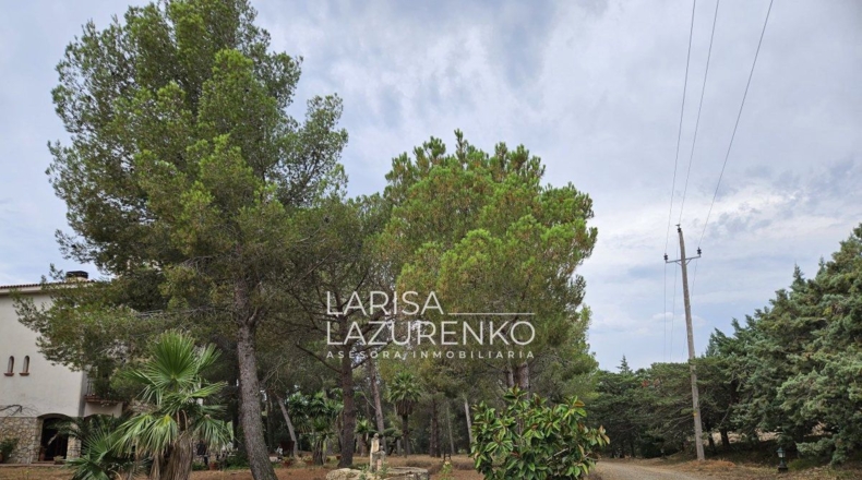Tarragona - Riudecanyes - 40000m2