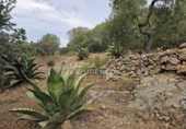 Chalet independiente con terreno en venta en Riudecanyes ref: TR263298 foto