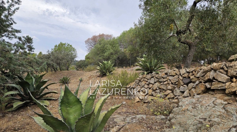 Tarragona - Riudecanyes - 40000m2