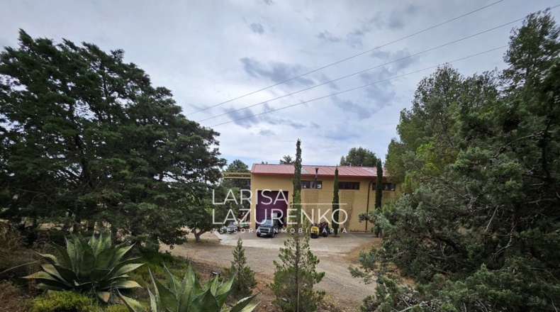 Tarragona - Riudecanyes - 40000m2
