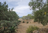 Chalet independiente con terreno en venta en Riudecanyes ref: TR263298 foto