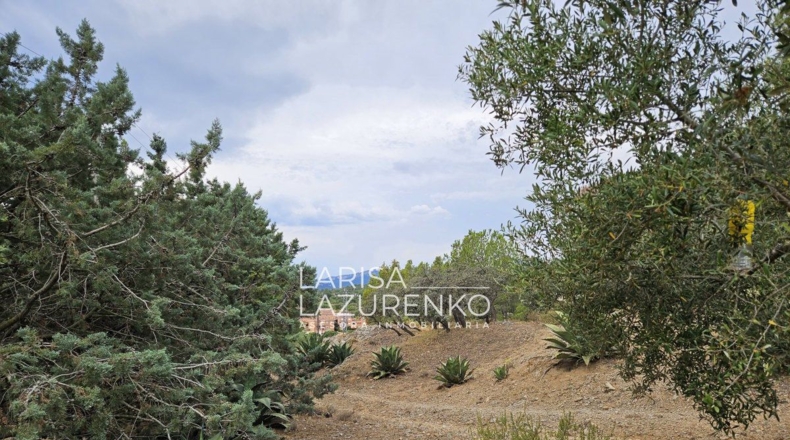 Tarragona - Riudecanyes - 40000m2