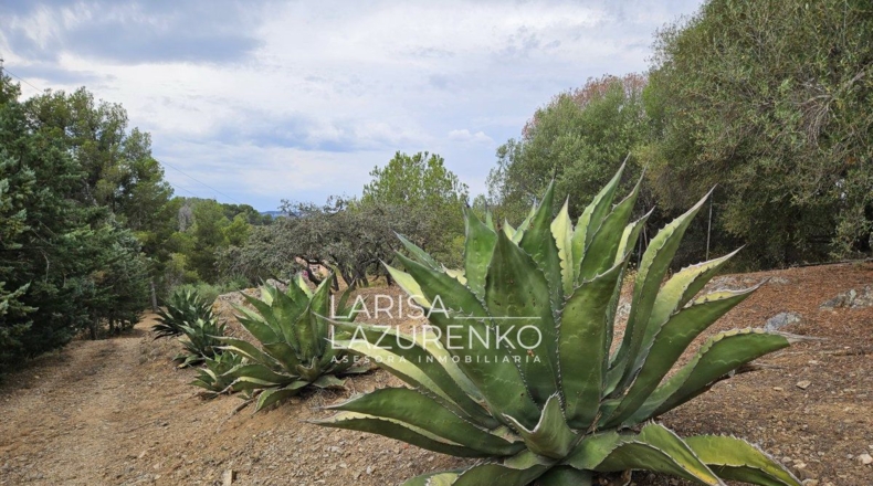 Tarragona - Riudecanyes - 40000m2