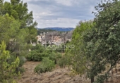 Chalet independiente con terreno en venta en Riudecanyes ref: TR263298 foto