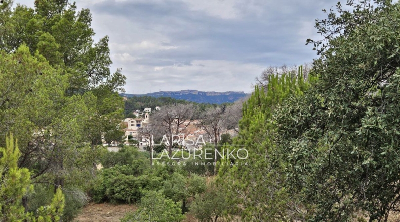 Tarragona - Riudecanyes - 40000m2