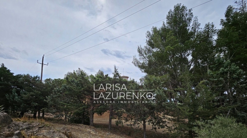 Tarragona - Riudecanyes - 40000m2