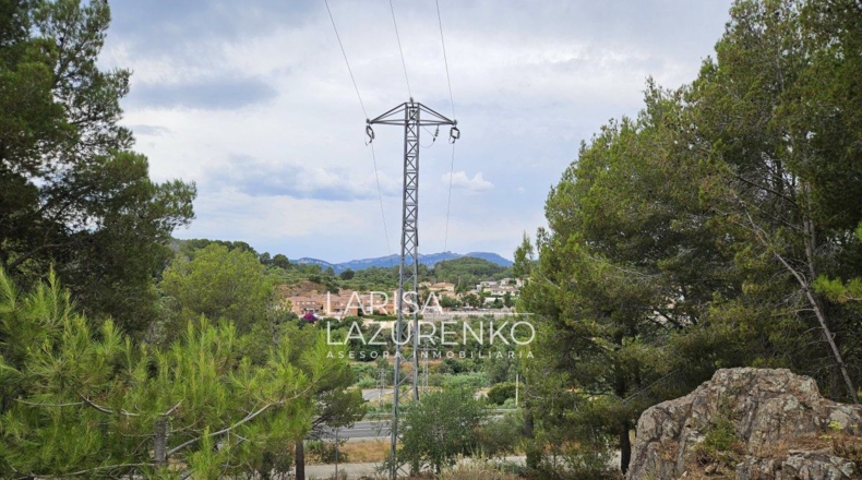 Tarragona - Riudecanyes - 40000m2