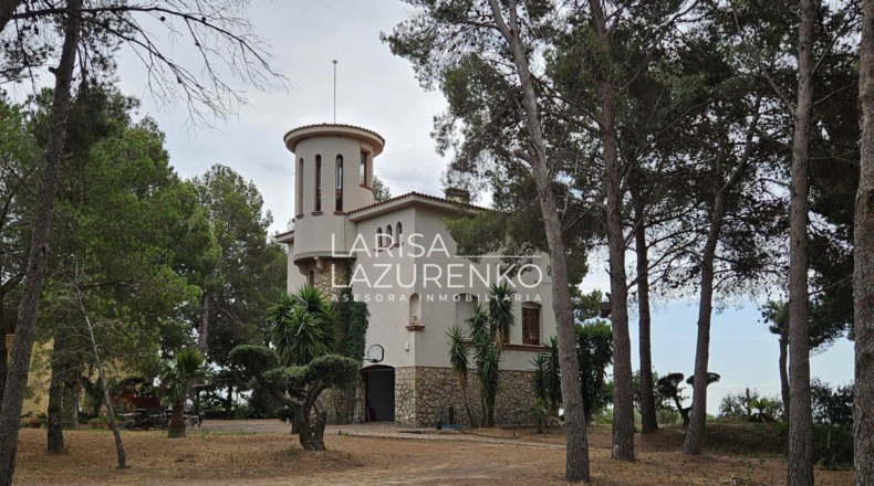 Tarragona - Riudecanyes - 40000m2