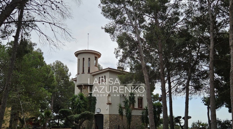 Tarragona - Riudecanyes - 40000m2