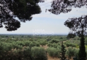 Chalet independiente con terreno en venta en Riudecanyes ref: TR263298 foto