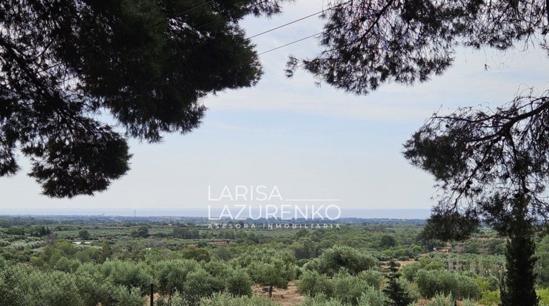 Tarragona - Riudecanyes - 40000m2