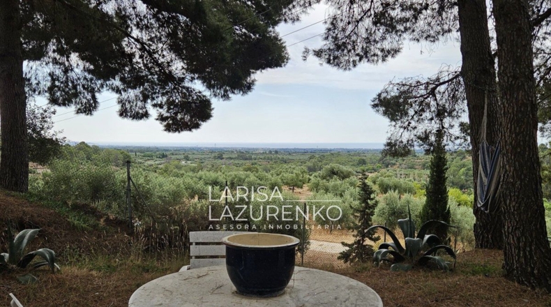 Tarragona - Riudecanyes - 40000m2