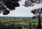 Chalet independiente con terreno en venta en Riudecanyes ref: TR263298 foto