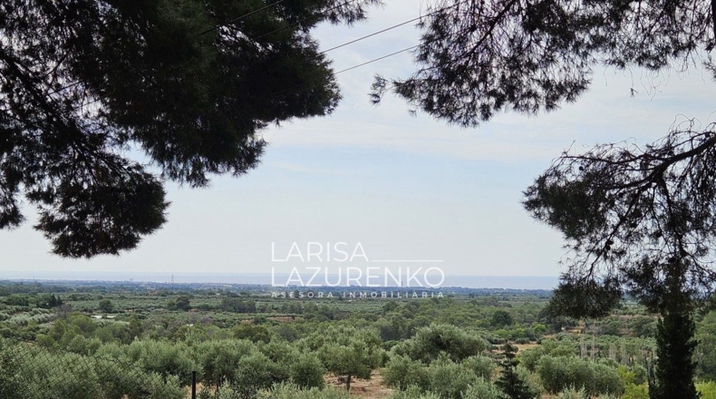 Tarragona - Riudecanyes - 40000m2