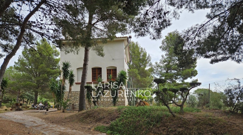 Tarragona - Riudecanyes - 40000m2