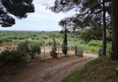 Chalet independiente con terreno en venta en Riudecanyes ref: TR263298 foto