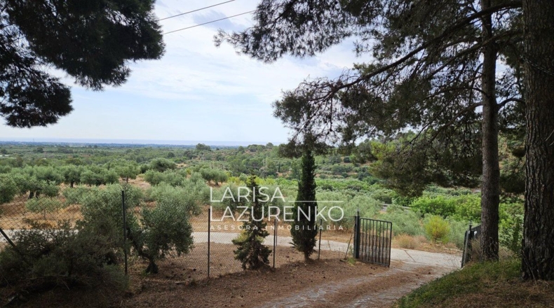 Tarragona - Riudecanyes - 40000m2