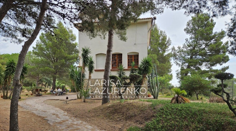 Tarragona - Riudecanyes - 40000m2