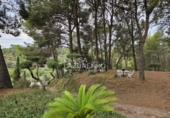 Chalet independiente con terreno en venta en Riudecanyes ref: TR263298 foto