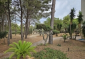 Chalet independiente con terreno en venta en Riudecanyes ref: TR263298 foto