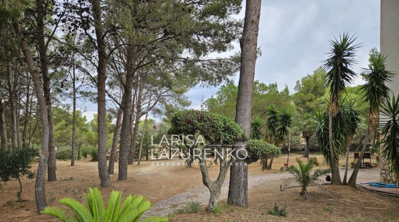 Tarragona - Riudecanyes - 40000m2