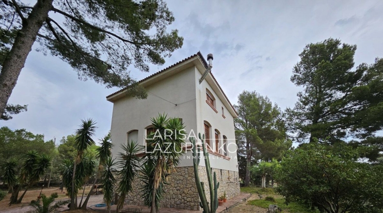 Tarragona - Riudecanyes - 40000m2