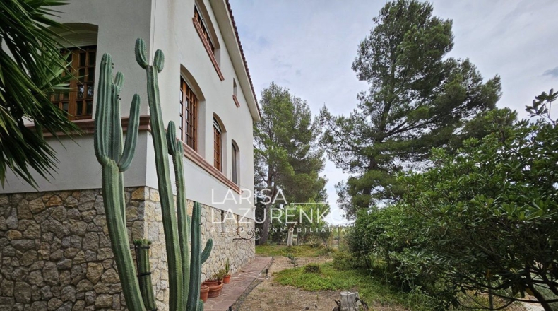 Tarragona - Riudecanyes - 40000m2