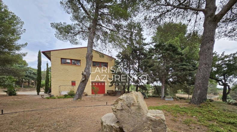 Tarragona - Riudecanyes - 40000m2