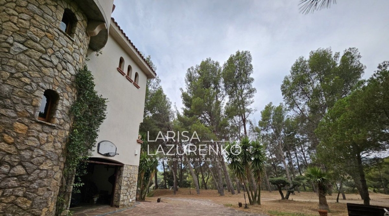 Tarragona - Riudecanyes - 40000m2
