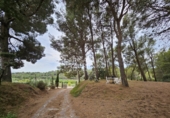 Chalet independiente con terreno en venta en Riudecanyes ref: TR263298 foto