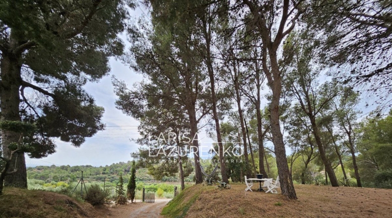 Tarragona - Riudecanyes - 40000m2