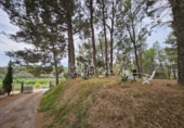 Chalet independiente con terreno en venta en Riudecanyes ref: TR263298 foto