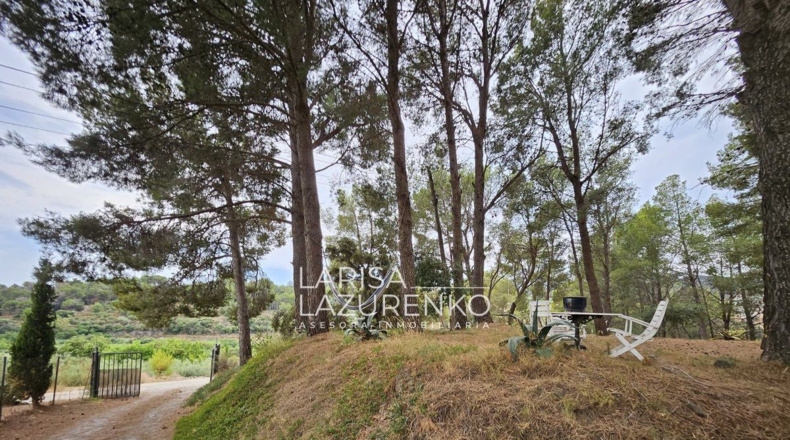 Tarragona - Riudecanyes - 40000m2