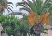 Chalet adosado con terreno en venta en Mont-roig del Camp ref: TR327167 foto