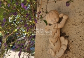 Rural estate for sale in Vinyols i els Arcs ref: TR356025 photo