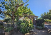 Rural estate for sale in Vinyols i els Arcs ref: TR356025 photo
