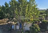Rural estate for sale in Vinyols i els Arcs ref: TR356025 photo