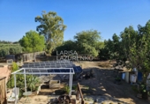 Rural estate for sale in Vinyols i els Arcs ref: TR356025 photo